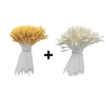 370pcs, 2mm Single-Headed & Double-Headed Artificial Flower Stamens, Home Floral Craft Decor Fake Flower Stamens, Wedding Scene Accessories, DIY Handmade Home Decor, Indoor Decoration Materials, Room Decor, Beautiful Room Decor, Bedroom Decor, Home Decor, Valentine's Day, Birthday, Graduation Gift - Multicolor - View 14