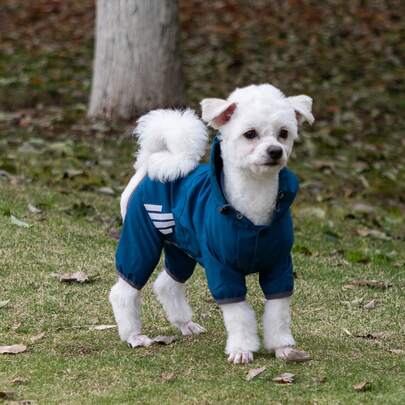 1件宠物雨衣，猫狗防水连帽外套，四脚宠物服装，四季皆宜，适合泰迪犬、贵宾犬和其他中小型宠物