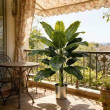 Schöner Bananenbaum mit hohen Ästen und großen grünen Blättern, geeignet für Außen- und Innenbereich/Zuhause, Küche, Garten, Terrasse, Balkon, Hof, Poolbereich; kann ganzjährig im Frühling und Sommer verwendet werden - Verschiedenfarbig - Übersicht 3