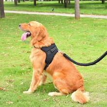 New Reflective Harness Chest Strap For Medium/Large Dogs, Anti-Pulling Leash - Multicolor - View 9