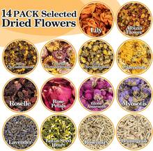Sukh Dried Herbs Kit - Dried Botanicals Bulk,14 Bags Natural Dry Flowers And Herbs For Soap,Candle,Perfume,Bath Bombs,Resin Jewelry Making Supplies,Fragrance Sachet DIY And Witchcraft - 白色 - 查看 2