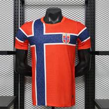 2026 Norway National Team Home Jersey, Multiple Numbers Available, Breathable Sweat-Wicking High-Quality Football Wear - 主場9號 - 查看 3