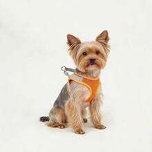 2 Buah Harness Anjing Reflektif dan Tali Penuntun 1,5m, Harness Tali Dada Hewan Peliharaan yang Bernapas Cocok untuk Anjing dan Kucing Kecil/Sedang/Besar, Set Aksesori Tali Dada dan Tali Penuntun untuk Anak Anjing - Jeruk - View 8