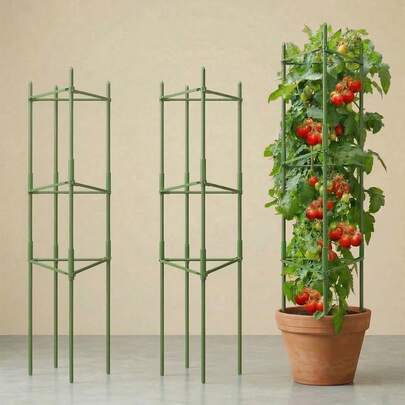1 st tomatstödbur, grönsaksställ, lämplig för klätterväxter, grönsaker, blommor, frukt och vinstockar
