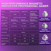 Teclado magnético WIN60 HE, eje magnético Hall, RT ajustable, frecuencia de sondeo de 8K, frecuencia de escaneo de 32K, intercambiable en caliente, acolchado completo, teclas PBT, retroiluminación RGB - Ver 10
