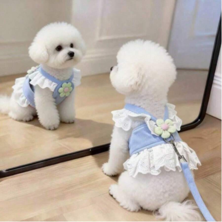 可爱蕾丝花卉宠物背心裙套装,带牵引绳,荷叶边公主风小型犬猫背心套装,透气遛狗背心,宠物胸背带牵引绳套装,透气网眼背心式猫狗背心,可调节小型犬遛狗背心牵引绳组合,公主风春夏套装 - 彩色 - 查看 1