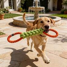 Chew Toy For Dog Dental Care And Outdoor Play, Rope Knot Design - Multicolor - View 5