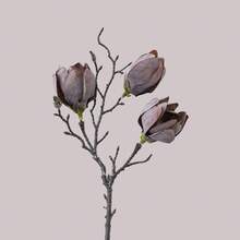 1pc Artificial Magnolia Flower, INS Style Home Decor, Wholesale Fake Flowers For Tabletop, Wedding Decoration, Interior Design - Multicolor - View 5