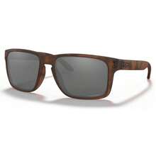 Matte Brown Tortoise / Prizm Black