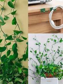 [Tự dính] Móc treo cây leo Greenjoy tự dính | 10 cái | Nhựa | Tự dính, hình dạng không đều | Vườn, Cây leo | | | Khóa cài cố định - Nhiều kiểu dáng - Xem 4