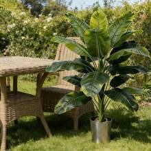Schöner Bananenbaum mit hohen Ästen und großen grünen Blättern, geeignet für Außen- und Innenbereich/Zuhause, Küche, Garten, Terrasse, Balkon, Hof, Poolbereich; kann ganzjährig im Frühling und Sommer verwendet werden - Verschiedenfarbig - Übersicht 6
