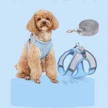2pcs Reflective Dog Harness And 1.5m Leash Set, Breathable Pet Chest Strap Harness Suitable For Small/Medium/Large Dogs And Cats, Puppy Chest Strap And Leash Accessory Set - Blue - View 3