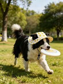 一款可爱的涤纶防风遮阳帽，带耳孔，防掉毛，可调节防晒，适合小型宠物狗全年佩戴。 - 黃色 - 查看 5