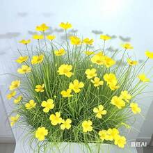 12 Bunches Artificial Onion Grass Foxtail Grass Flowers, Plastic Artificial Potted Plants - Suitable For Outdoor Garden, Indoor Decor, Window Frames | Ideal For Spring, Summer, Autumn, Winter | Anniversary, Easter, Mother's Day, Wedding | Gifts, Garden Decor | Naturally Realistic Flowers | Artificial Floral Art - Green - View 8