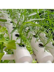 Bộ 10 giỏ trồng cây thủy canh (bao gồm 10 giỏ trồng + 10 miếng xốp ươm hạt) | Giữ hạt giống, chống trôi dạt, hệ rễ trong suốt, phụ kiện cho hệ thống nhà kính thủy canh ban công. - Nhiều màu - Xem 7