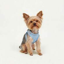 2pcs Reflective Dog Harness And 1.5m Leash Set, Breathable Pet Chest Strap Harness Suitable For Small/Medium/Large Dogs And Cats, Puppy Chest Strap And Leash Accessory Set - Blue - View 8