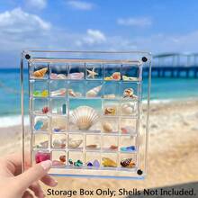 1pc Square Acrylic Seashell Display Box, Transparent Specimen Showcase With 36 Compartments, Magnetic Lid, High Clarity, Suitable For Daily Collection - Multicolor - View 13