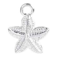1pc Minimalist Stainless Steel Gold/Silver Starfish Pendant, Ocean Animal Charm Suitable For DIY Jewelry Making Necklace Bracelet Earring Accessories - Pendants - View 26