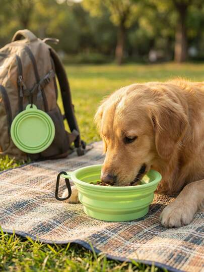 1/2pcs Portable Foldable Dog Food Bowl, Collapsible Pet Feeding Bowl, Multifunctional Pet Bowl Suitable For Travel, Camping, Walking, Can Be Used As Water Bowl Or Food Bowl For Cats And Dogs, Odorless, With Carabiner, Can Be Used As Water Bottle Or Camping Bowl