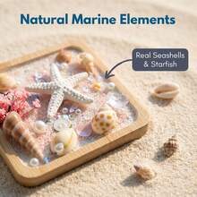 Imán de refrigerador de estrella de mar hecho a mano de verano, concha giratoria, artesanía de concha con textura y pintura a mano, imán de refrigerador de recuerdo de playa y mar, regalo artesanal - Estrella de mar giratoria rosa - Ver 8
