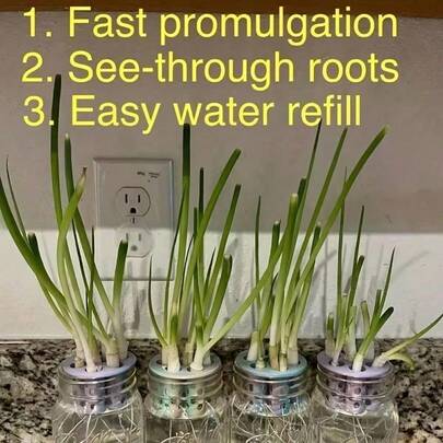 1pc 3D Printed Mold For DIY Hydroponic Planting Of Garlic & Green Onion