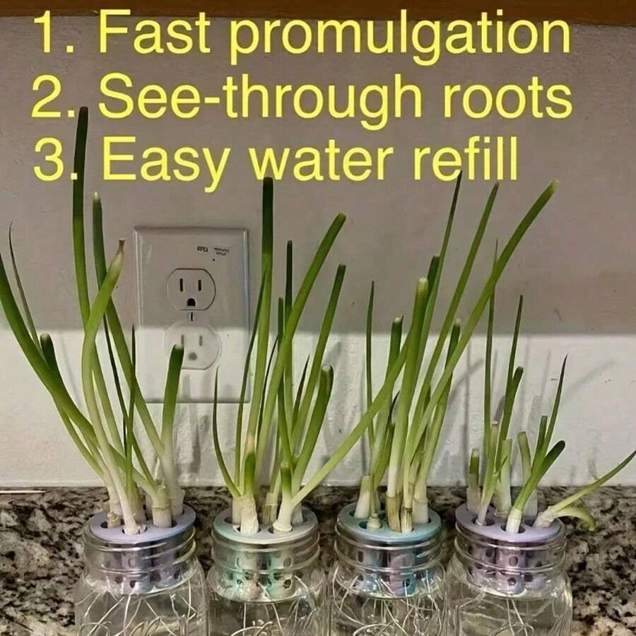 1pc 3D Printed Mold For DIY Hydroponic Planting Of Garlic & Green Onion - 1pc - View 1