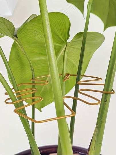 单包装/防倾倒支撑架，植物收集架，绿色植物固定架，花架植物茎支撑架 - 适用于攀援植物，园艺植物支撑架。