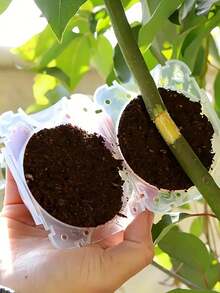 Bộ 5 hộp ươm giống áp suất cao, hộp ghép rễ cây, hộp ươm cành cây trên cao. - nhiều màu - Xem 1
