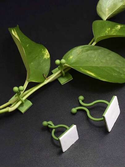 Bộ 5/20 kẹp cây leo, kẹp tường, kẹp hỗ trợ cây leo, móc treo cây leo, kẹp cây kim tiền treo tường, kẹp cố định cây leo, móc leo cây, vòng khóa màu xanh lá cây không dấu vết, thiết bị cố định cây xanh.