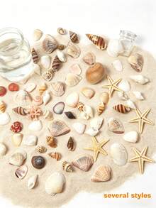 1000/400 Pcs Tiny Sea Shells For Crafting Mini Seashells Stafish For DIY Animal Photo Frame Home Decorations, Beach Theme Party, Small Shells For Craft, Wedding Decor, Fish Tank Vase Filler - Natural Seashells - View 6