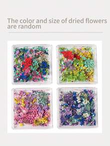10pcs Press On Nails Colored Dried Flowers Golden Line French Style Nail Supplies Nails Press On Short Nail Fake Nails Artificial Nails Kit Includes 1sheet Adhesive Tabs &1 Pc Mini File Nail Supplies Nails Press On Short Nail Fake Nails Artificial Nails Kit Includes 1sheet Adhesive Tabs &1 Pc Mini File - Multicolor - View 4