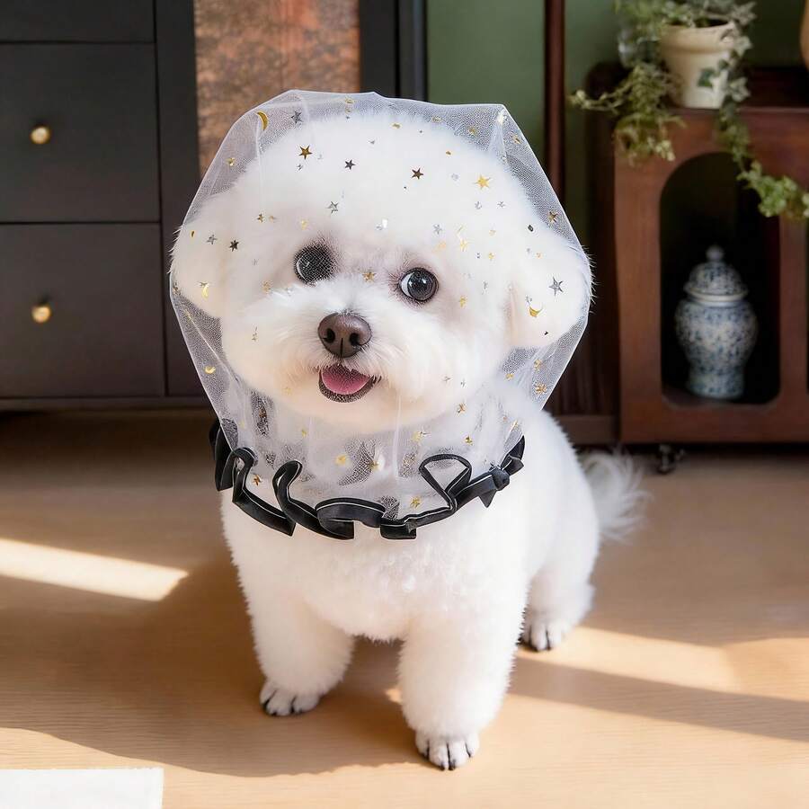 2个可爱实用的狗狗嘴套，舒适透气，适合博美犬、比熊犬及其他小型/中型犬，设计可防止意外吞食。