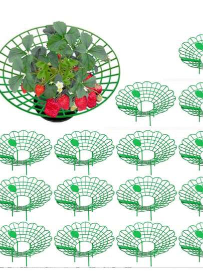 Bộ giá đỡ cây dâu tây gồm 3/5/7 chân này có ba chân chắc chắn và được trang trí bằng logo hình quả dâu tây, giúp bảo vệ cây dâu tây khỏi nấm mốc, thối rữa và bụi bẩn.
