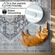 GLN Rugs Alfombra De Área Lavable A Máquina Resistente A Las Manchas Estética Vintage Persa Bohemia Desgastada Parte Trasera Antideslizante Decoración del Hogar para Piso Interior para Dormitorio - 1.2 x 1.8 metros 4 x 6 pulgadas - Ver 7