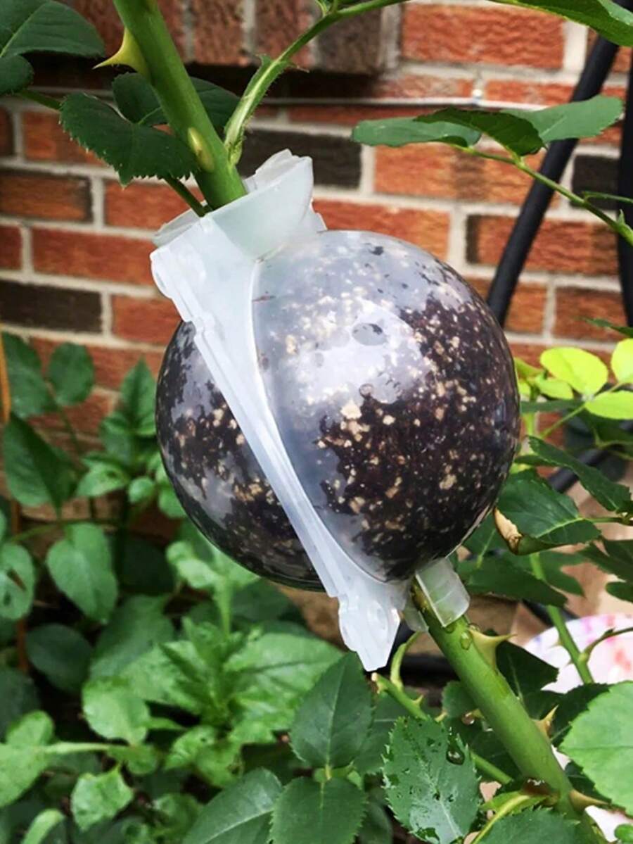 10pcs Plant High-Pressure Grafting Box Rooter Cuttage Grafting Branch-Wrapping Propagation Ball Seedling Branch Box Gardening Supplies - Rooting Propagation Bulb - View 1
