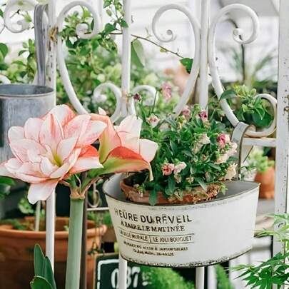 Wall-Mounted Flower Pot With Double Ears, High-Quality Appearance Wall-Mounted Flower, Made Of Ironwork With English Letters, For Outdoor Garden, Balcony, Courtyard Iron Sheet Flower Pot Decoration