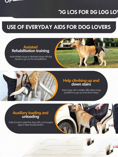 Sangle de support pour la patte arrière du chien - Harnais de levage réglable pour chiens âgés et blessés, aide à la marche et aux escaliers