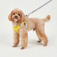 2pcs Reflective Dog Harness And 1.5m Leash Set, Breathable Pet Chest Strap Harness Suitable For Small, Medium And Large Dogs, Puppy Chest Strap And Leash Accessory Set - Yellow - View 7