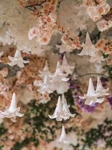 7朵仿真百合花,婚礼派对背景,百合花天花板装饰,白色教堂装饰,DIY拍照道具,窗帘装饰,婚房装饰,婚礼仪式道具,生日派对装饰,周年纪念,新娘送礼会,订婚,毕业典礼,母亲节装饰,庆典派对装饰 - 多色 - 查看 11