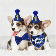 Party Packs - Blue - View 3