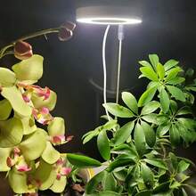 USB-Pflanzenwachstumsleuchte – Höhenverstellbar mit Timer, kompaktes Design, geeignet für Zimmerpflanzen, Setzlinge und Sukkulenten sowie als Gartendekoration für Zuhause und das Büro. - Weiss - Übersicht 5