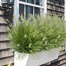 12 Bunches Artificial Onion Grass Foxtail Grass Flowers, Plastic Artificial Potted Plants - Suitable For Outdoor Garden, Indoor Decor, Window Frames | Ideal For Spring, Summer, Autumn, Winter | Anniversary, Easter, Mother's Day, Wedding | Gifts, Garden Decor | Naturally Realistic Flowers | Artificial Floral Art - Green - View 2