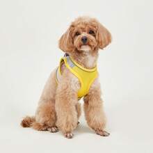 2pcs Reflective Dog Harness And 1.5m Leash Set, Breathable Pet Chest Strap Harness Suitable For Small, Medium And Large Dogs, Puppy Chest Strap And Leash Accessory Set - Yellow - View 6