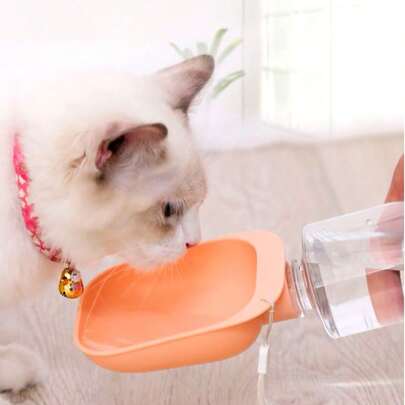 1 bát đựng nước cho chó ngoài trời, cốc uống nước cho thú cưng, bát đựng nước di động cho chó khi đi du lịch