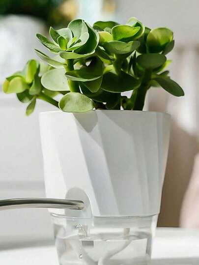 Chậu cây nhỏ, chậu nhựa có lỗ thoát nước và đĩa hứng nước dùng cho hoa, cây cảnh, cây mọng nước, chậu ươm hạt, chậu đất nung.