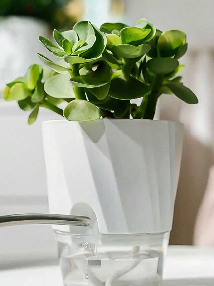 Chậu cây nhỏ, chậu nhựa có lỗ thoát nước và đĩa hứng nước dùng cho hoa, cây cảnh, cây mọng nước, chậu ươm hạt, chậu đất nung. - Một kích cỡ phù hợp cho tất cả - Xem 1