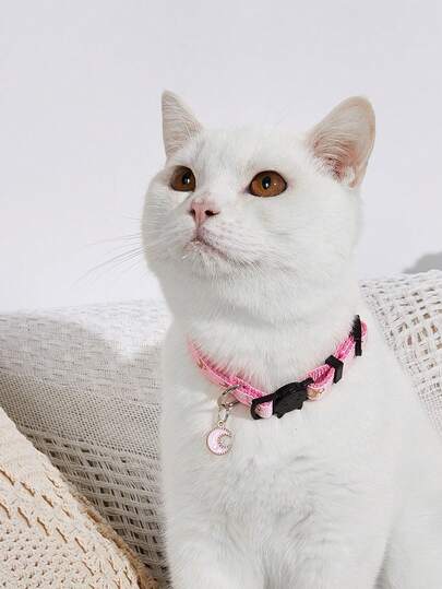 Vòng cổ có thể điều chỉnh bằng nylon với mặt dây chuyền hình mặt trăng, ngôi sao và mèo dễ thương, thích hợp để đeo hàng ngày và làm quà tặng cho mèo.