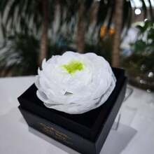Party Packs - White Fairy - View 4