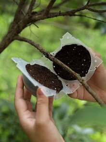 10pcs Plant High-Pressure Grafting Box Rooter Cuttage Grafting Branch-Wrapping Propagation Ball Seedling Branch Box Gardening Supplies - Rooting Propagation Bulb - View 9