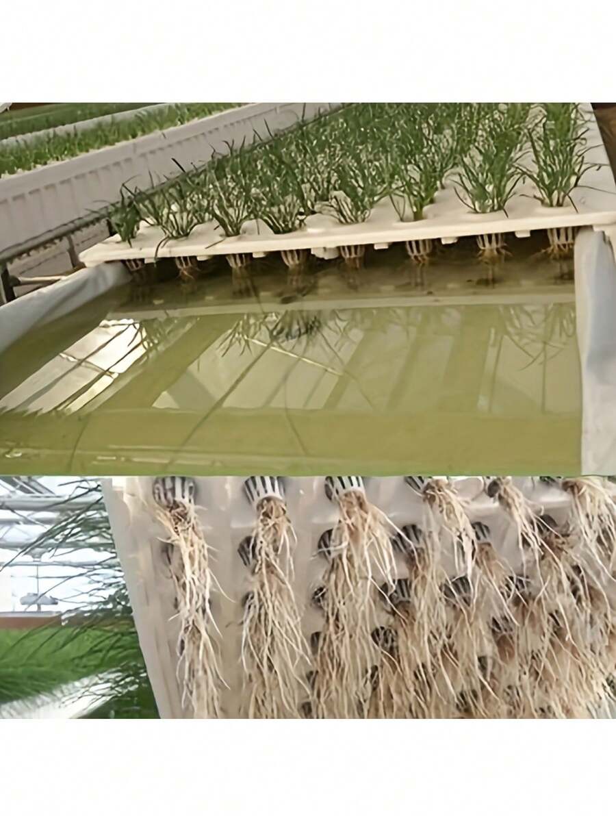 Bộ 10 giỏ trồng cây thủy canh (bao gồm 10 giỏ trồng + 10 miếng xốp ươm hạt) | Giữ hạt giống, chống trôi dạt, hệ rễ trong suốt, phụ kiện cho hệ thống nhà kính thủy canh ban công.